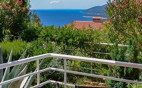 Apartman Kiki